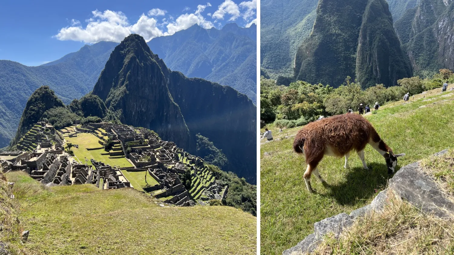Machu Picchu, the Inca citadel in the clouds above Peru's Sacred Valley